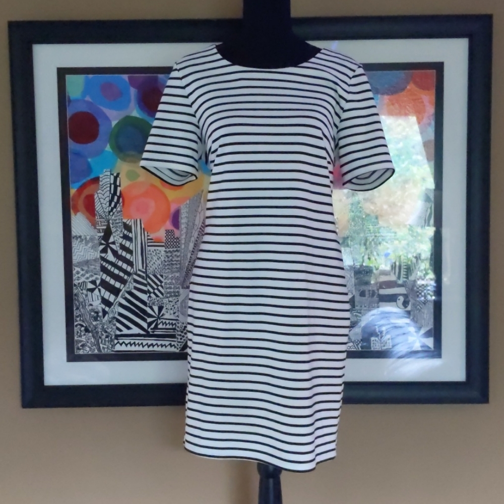 Ladies Dress Size M